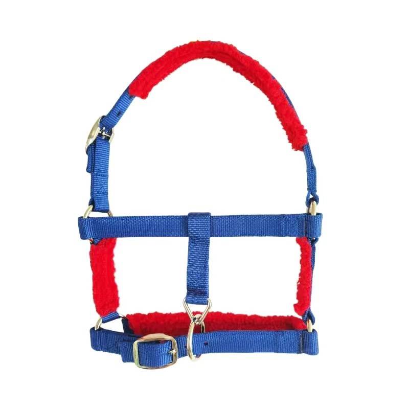 RED AND BLUE S